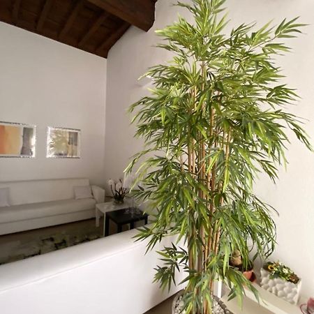 Suite Saffi 99 Витербо Екстериор снимка